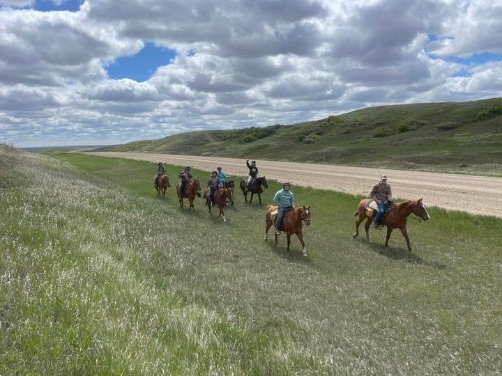 본문 이미지 - 캐나다의 대안학교 &#39;락솔리드 레퓨지&#39;의 수업 풍경. 학생들의 정서적 안정을 찾기 위해 말을 타고, 고양이와 개를 돌보고 자연과 함께 하는 시간이 많다. 2024.06.16/&lt;출처: Rock Solid Refuge홈페이지&gt;