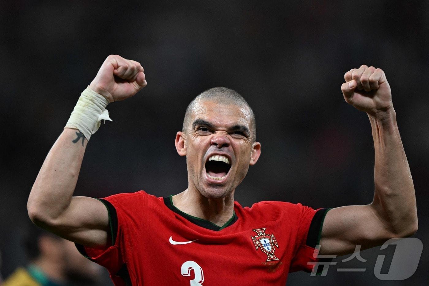 본문 이미지 - 포르투갈 출신의 수비수 페페. ⓒ AFP=뉴스1