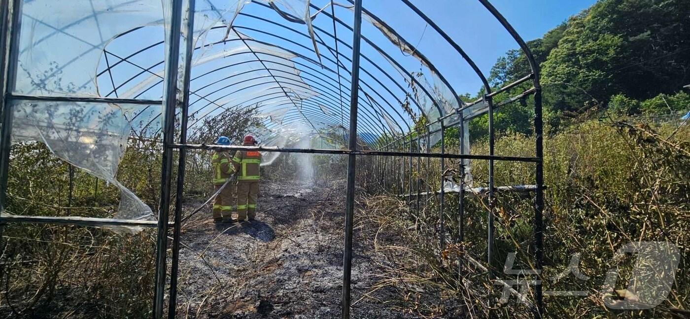 강원 횡성 청일면 초현리 화재 현장.(횡성소방서 제공)