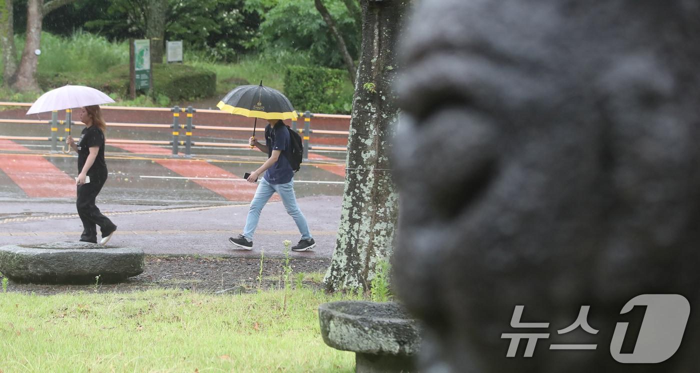 비 내리는 제주(자료사진)/뉴스1