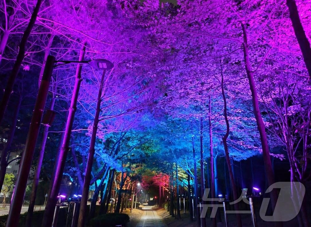 본문 이미지 - 석남이음숲 야간조명(인천 서구 제공)/뉴스1