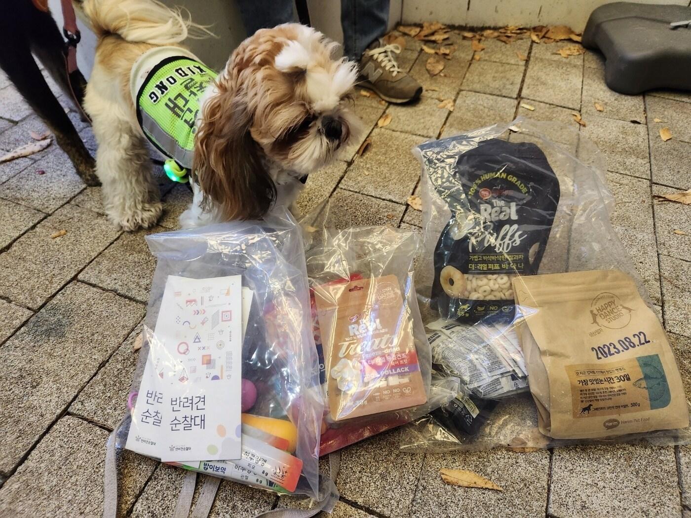 본문 이미지 - 하림펫푸드는 '반려견 순찰대'에 자사 사료와 간식 제품을 2년 연속 후원한다고 밝혔다. (하림펫푸드 제공) ⓒ 뉴스1