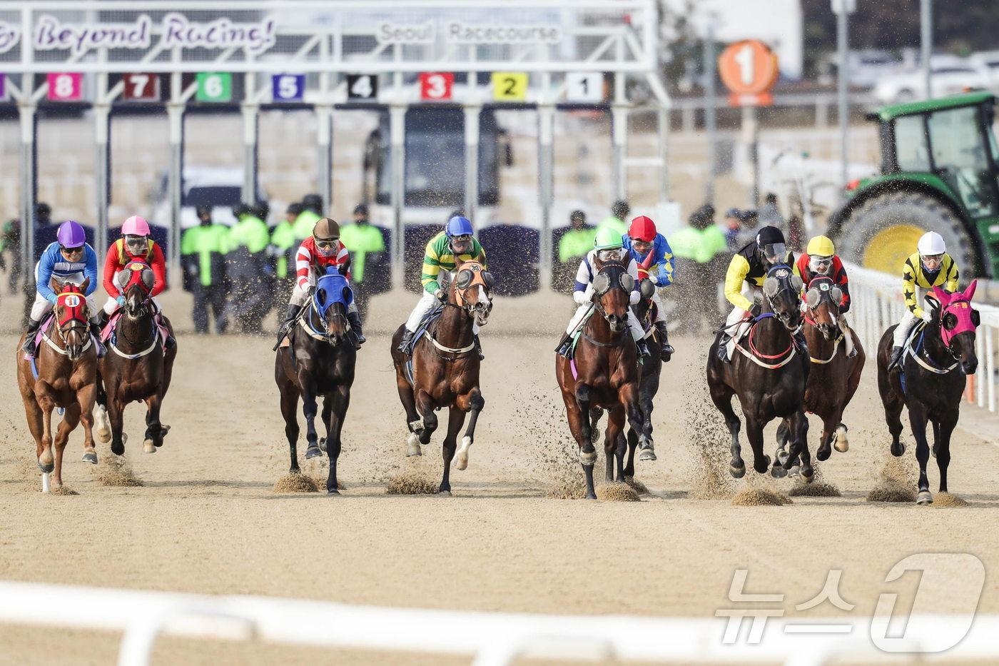 한국 마사회 경마 경주 장면 (한국마사회 제공) 