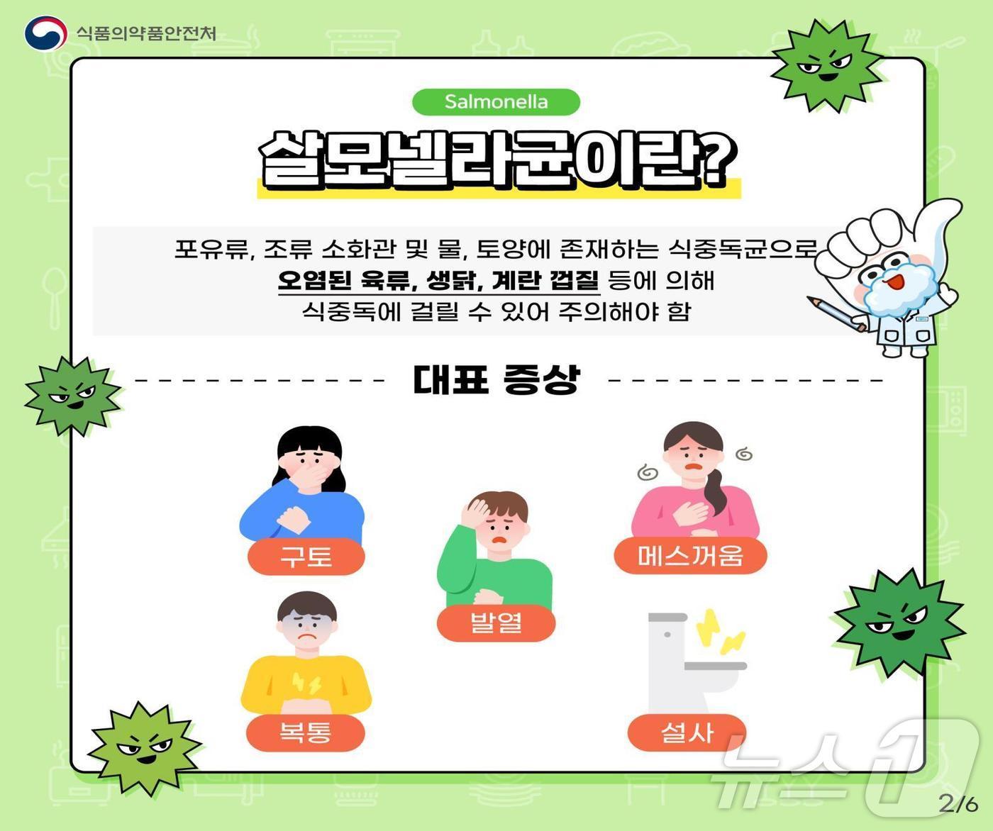 본문 이미지 - 살모넬라 식중독 주의 요령(식약처)