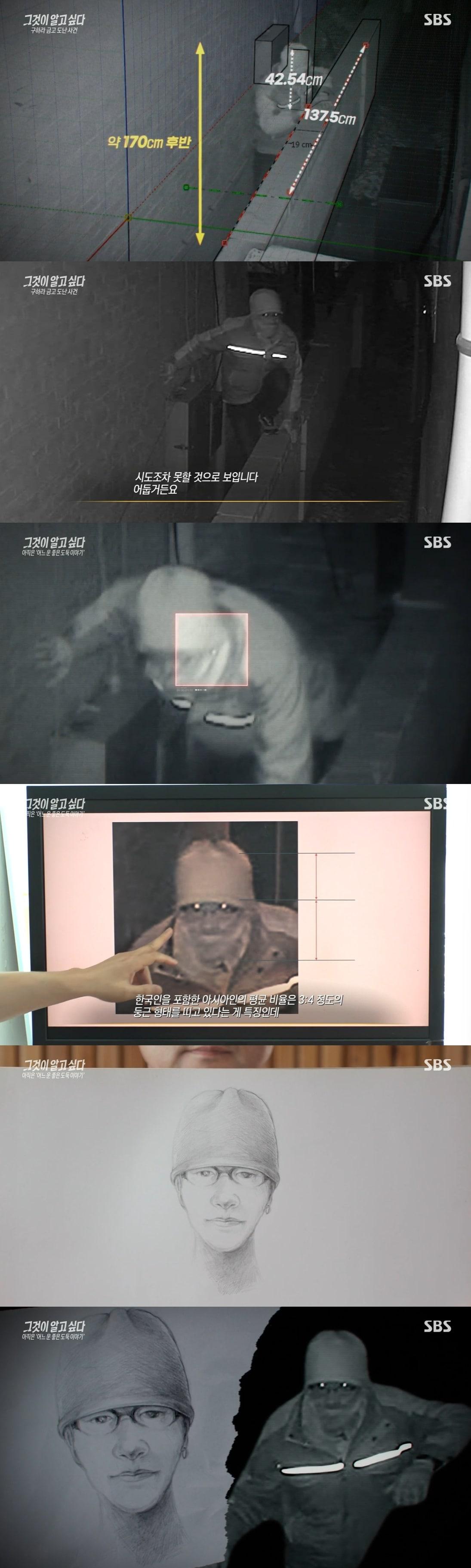 본문 이미지 - SBS