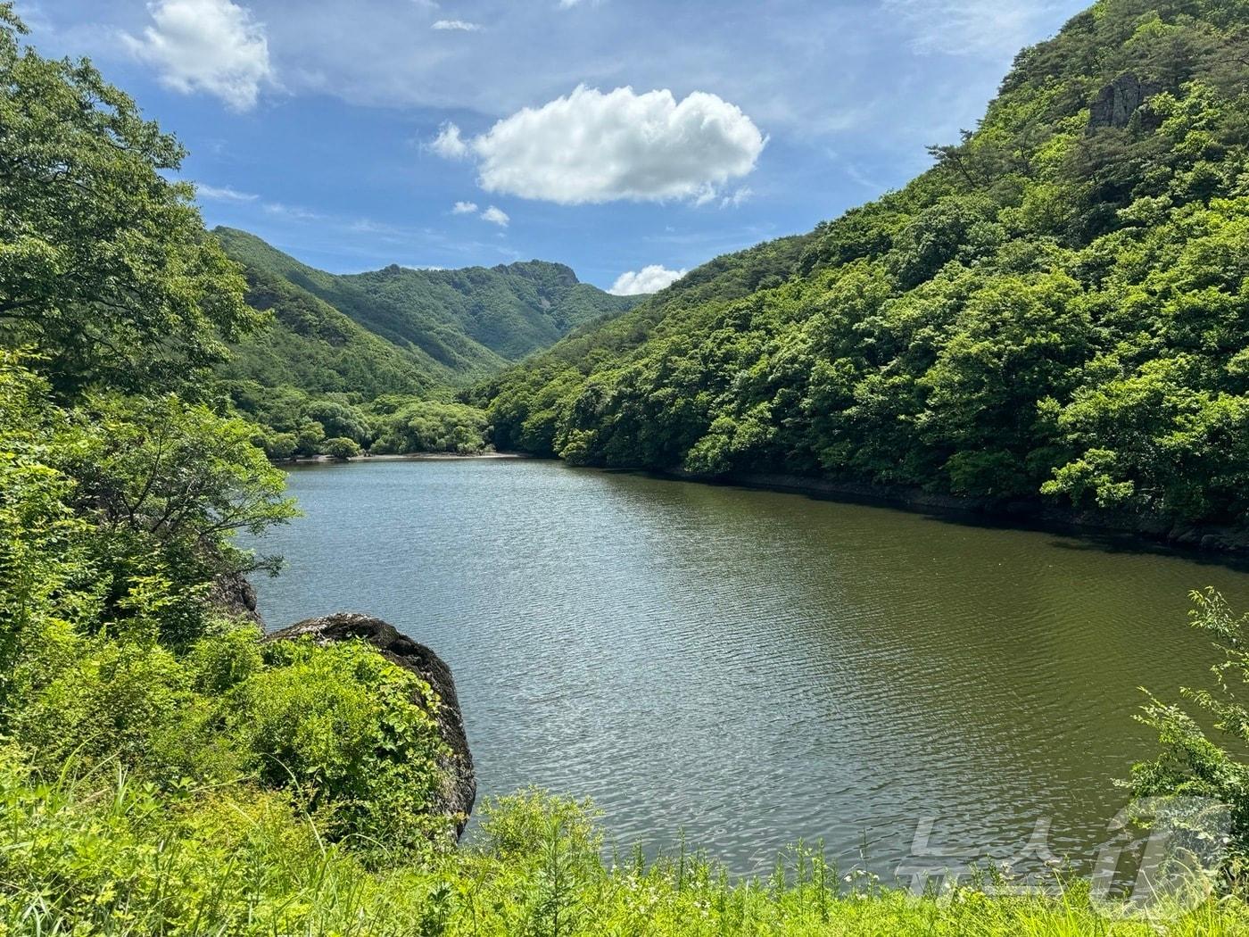 본문 이미지 - 경북 청송군에 위치한 '주산지' 전경. ⓒ 뉴스1 김형준 기자