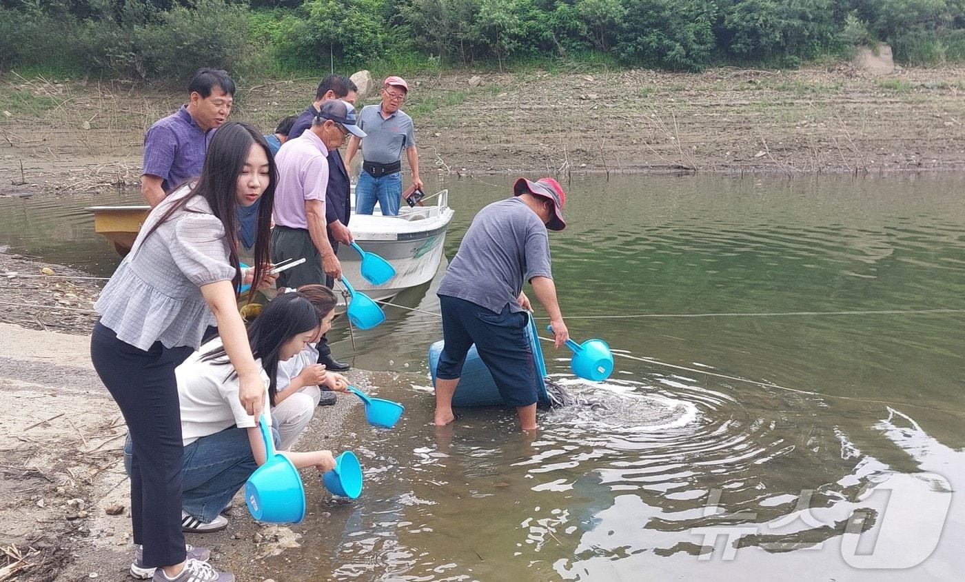 본문 이미지 - 보은군 관계자들이 회남면 대청호 일원에 뱀장어 치어를 방류하고 있다. (보은군 제공) /뉴스1  