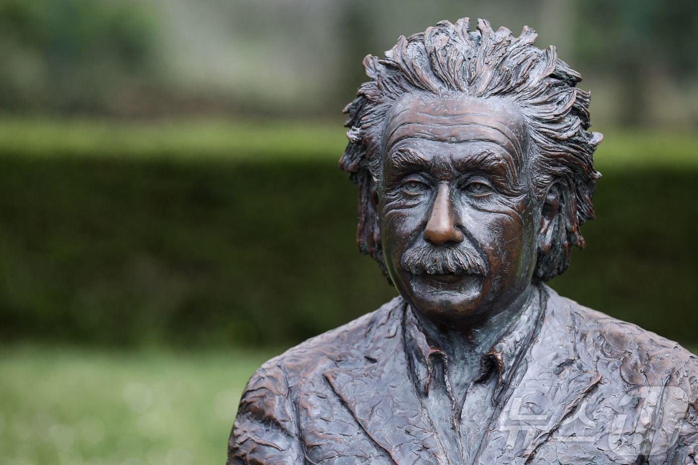 벨기에 예술가가 알베르트 아인슈타인을 묘사한 동상. ⓒ AFP=뉴스1 ⓒ News1 조소영 기자