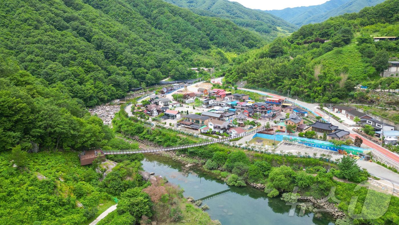 본문 이미지 - 산청 시천면 ‘지리산 내대 생태길 출렁다리'(산청군 제공).