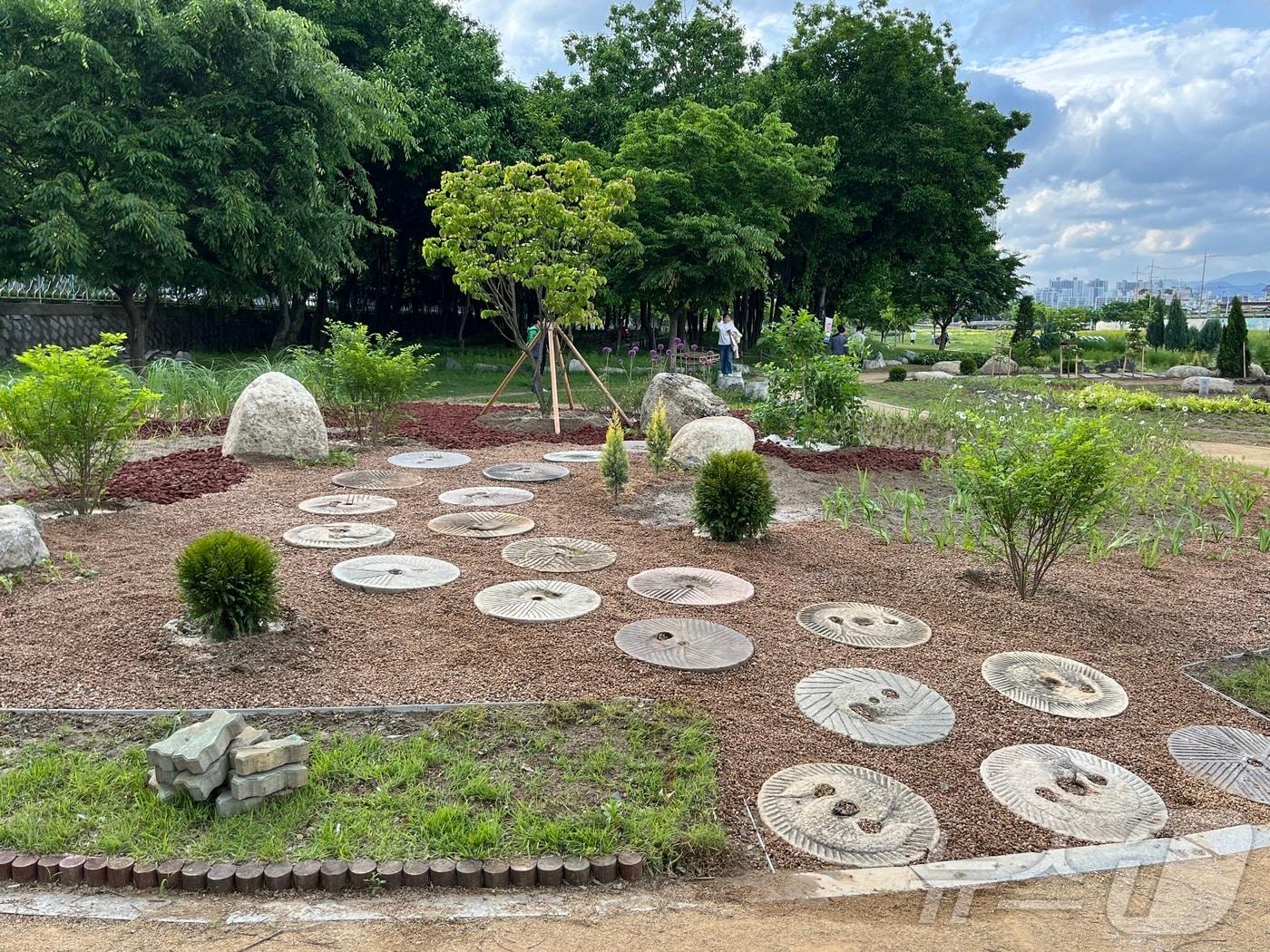 본문 이미지 - 경산 옥곡동 남천둔치 야생화 공원(경산시 제공) 2024.6.29.뉴스1