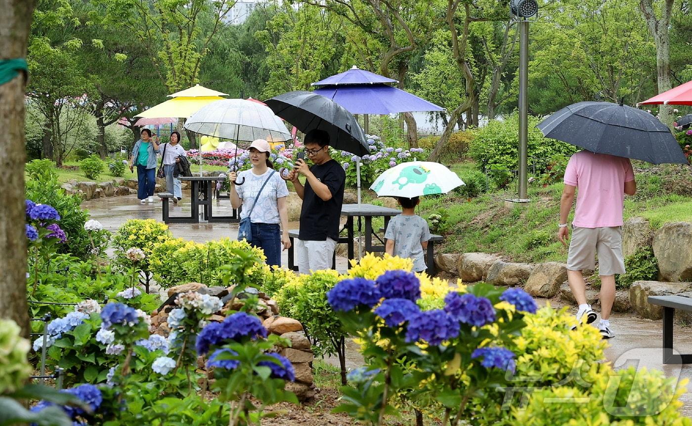 본문 이미지 - 강진군 강진읍 보은산 V랜드공원.(전남 강진군 제공)2024.6.29 ⓒ 뉴스1