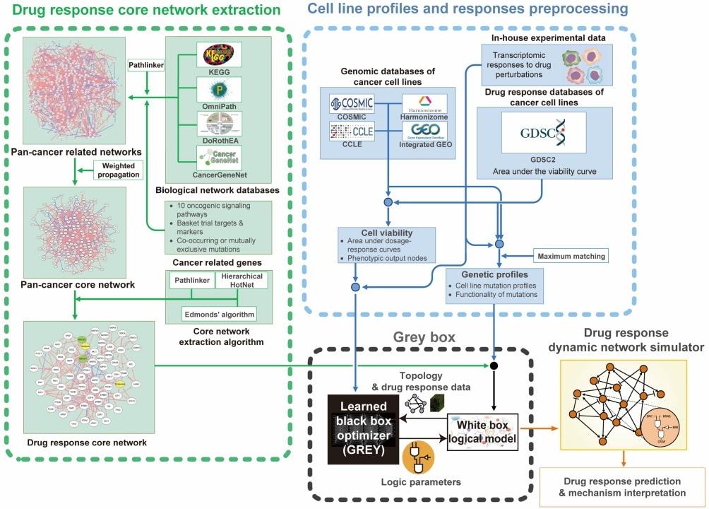 본문 이미지 - 그레이박스 기술의 개념 구조. (KAIST 제공)/뉴스1