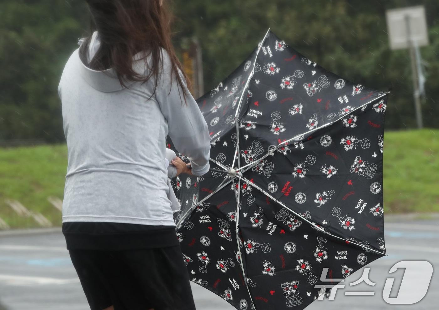 본문 이미지 - 서귀포시 대정읍 송악산 둘레길에서 한 관광객이 쓴 우산이 강풍에 뒤집히고 있다.  자료사진 2024.6.30/뉴스1 ⓒ News1 오현지 기자