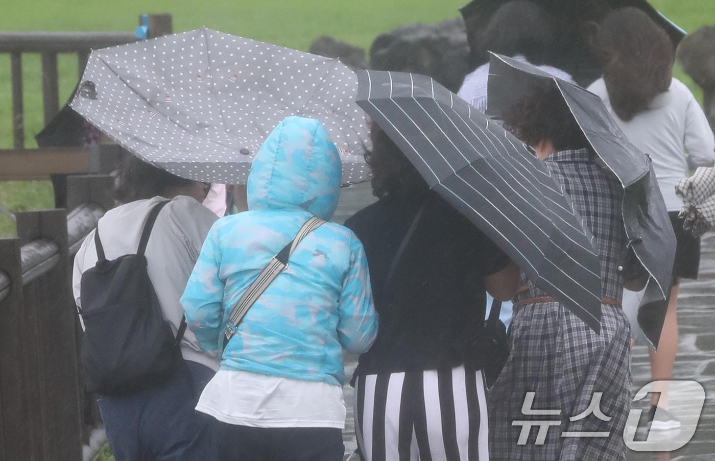 비 내리는 제주(자료사진)/뉴스1