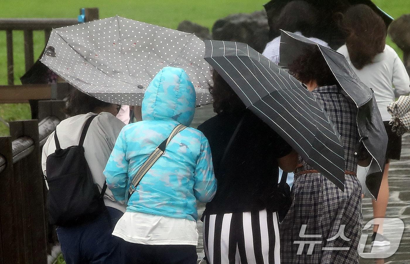 제주에 이틀째 거센 장맛비와 함께 강풍이 몰아치는 30일 오전 서귀포시 대정읍 송악산 둘레길에서 한 관광객이 쓴 우산이 강풍에 뒤집히고 있다. 2024.6.30/뉴스1 ⓒ News1 오현지 기자