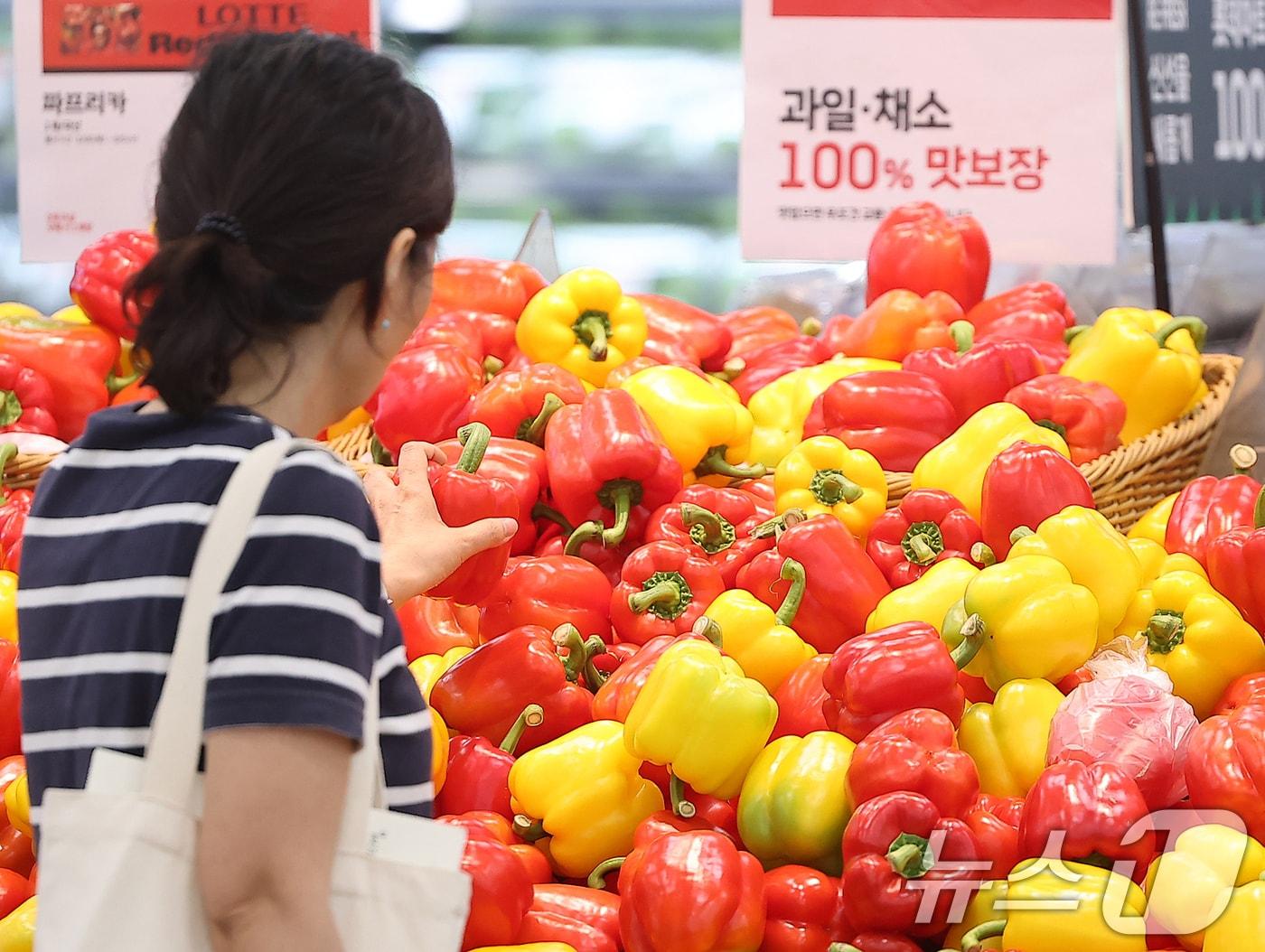 본문 이미지 - 서울의 한 대형마트에서 한 시민이 파프리카를 고르고 있다.ⓒ 뉴스1 김진환 기자