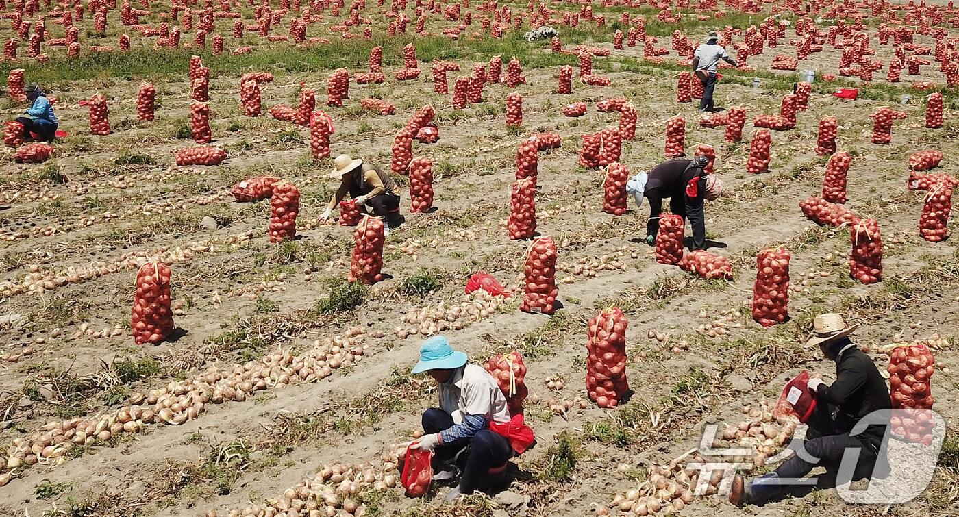 기사 이해를 돕기 위한 외국인 근로자 활동 자료 사진으로, 기사 내용과 직접 관련 없음. (재판매 및 DB금지)
