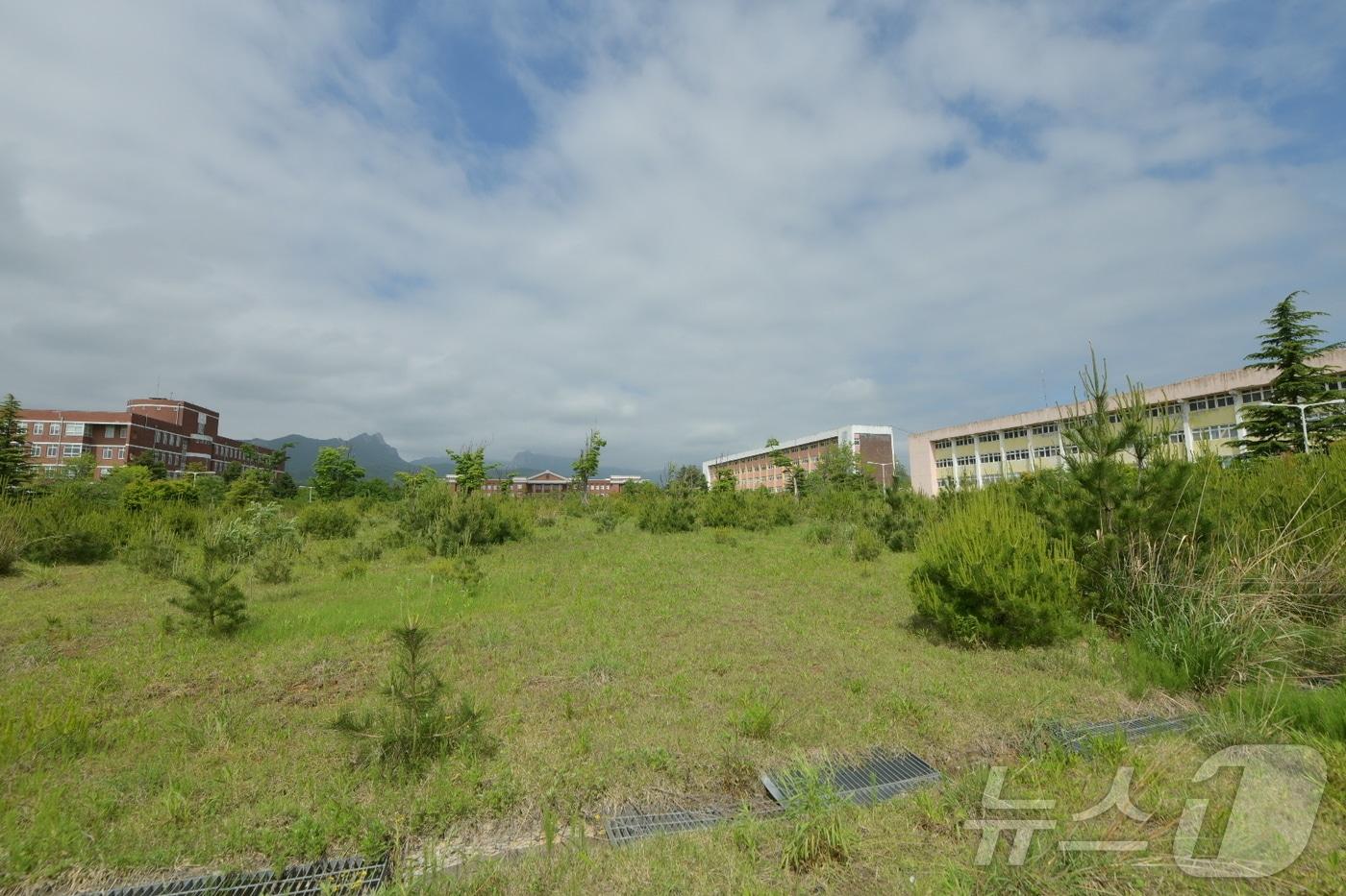 강원 속초시 노학동에 위치한 옛 동우대학(경동대 설악캠퍼스) 내부 모습.(독자제공) 2024.5.23/뉴스1