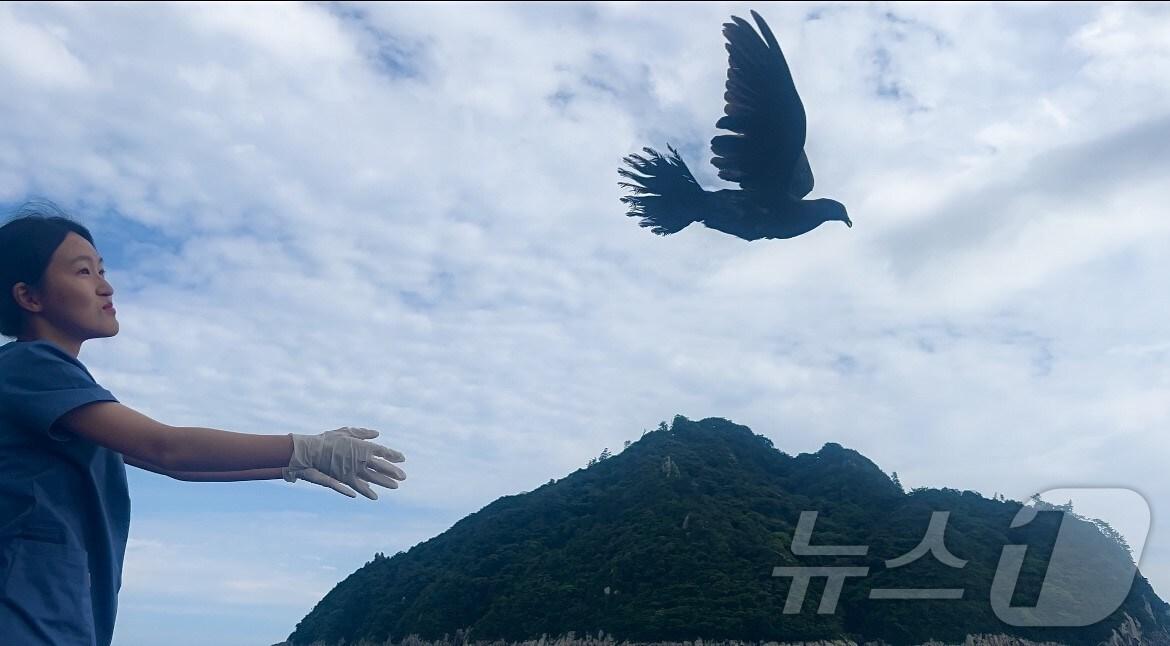 본문 이미지 - 제주대 제주야생동물구조센터(센터장 윤영민)는 최근 서귀포시 보목동 해안에서 희생 직전에 구조한 흑비둘기 두 마리를 방사했다고 5일 밝혔다.(제주대 야생동물구조센터 제공)/뉴스1 