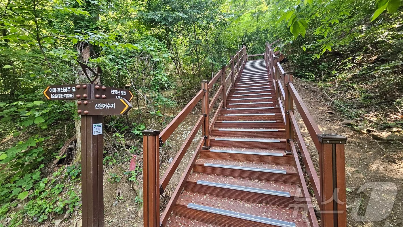 본문 이미지 - 용인시가 새롭게 만든 선장산 숲길 0.5km 구간에 설치한 계단 모습.(용인시 제공)