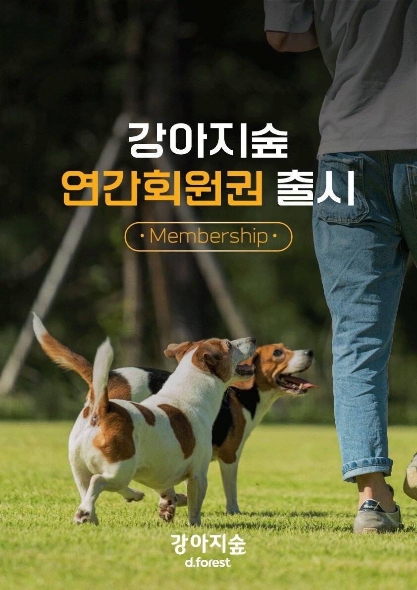 본문 이미지 - 강아지숲이 오는 8일부터 연간회원권을 출시한다고 밝혔다(강아지숲 제공). ⓒ 뉴스1