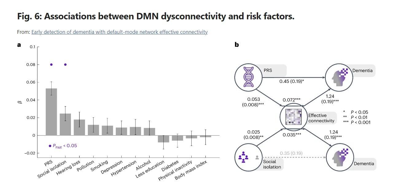 본문 이미지 - 정신건강의학 학술지 &#39;네이처 멘탈 헬스&#39; 저널에 6일 공개된 &#39;디폴트 모드 네트워크의 효과적인 연결성을 통한 치매 조기 발견&#40;Early detection of dementia with default-mode network effective connectivity&#41;&#39; 논문 발췌. 디폴트 모드 네트워크&#40;DMN&#41; 연결과 위험 요소 간의 연관성을 나타낸 도표. 2024.06.07/
