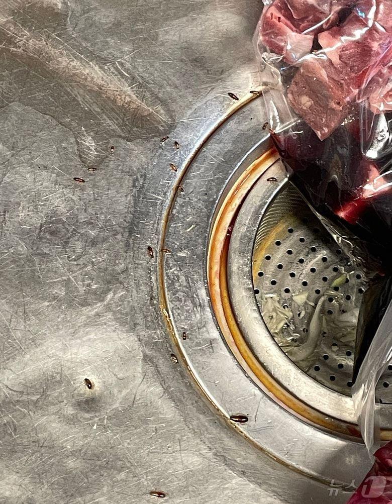 본문 이미지 - &#40;자영업자·소상공인 온라인 커뮤니티 &#39;아프니까 사장이다&#39; 갈무리&#41; /뉴스1