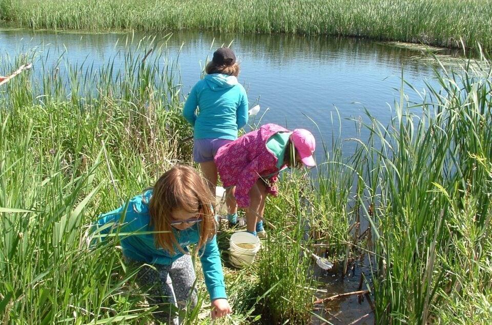 본문 이미지 - 습지를 관찰하고 그것이 어떻게 작동하는지, 왜 물의 흐름이 있는지, 어떤 야생동물이 이 서식지를 사용하는지, 누가 산책로에서 혜택을 받는지 스스로 물어보고 탐구하는 활동. 06.08&lt;출처: water first 홈페이지&gt; 2024.06.08/