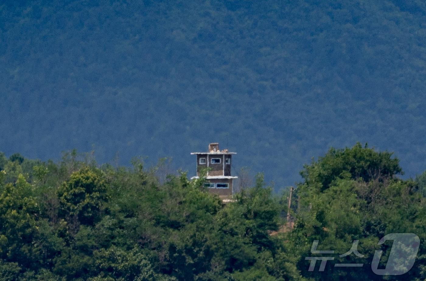 본문 이미지 - 파주시 접경지역에서 바라본 북한 개풍군. 2024.7.1/뉴스1 ⓒ News1 이재명 기자