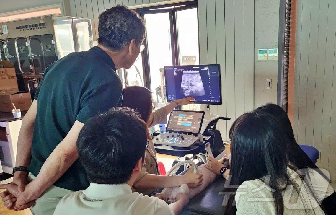 본문 이미지 - 삼성메디슨과 코벳은 최근 대전에서 초음파 실습인 '삼성 소노 벳 아카데미'를 진행했다(코벳 제공). ⓒ 뉴스1