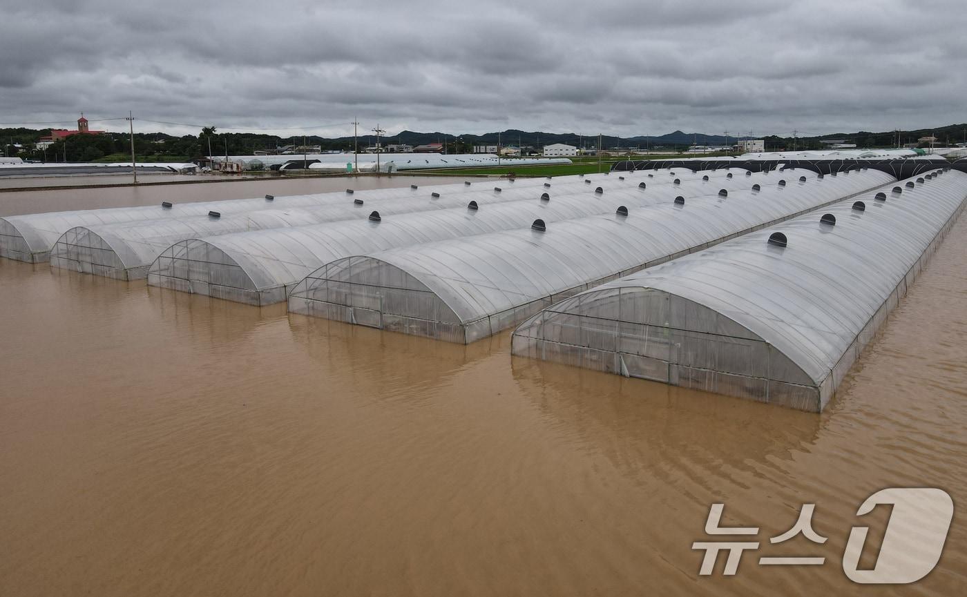 집중호우가 내린 지난해 7월 10일 충남의 한 비닐하우스가 불어난 물에 잠겨 있다. /뉴스1 ⓒ News1 김기태 기자