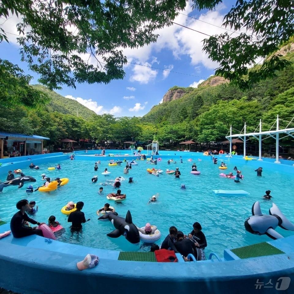 본문 이미지 - 장흥 유치자연휴양림 물놀이장. ⓒ News1