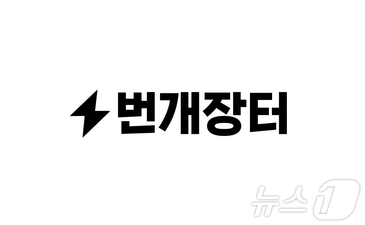 본문 이미지 - 번개장터 로고(번개장터 제공)