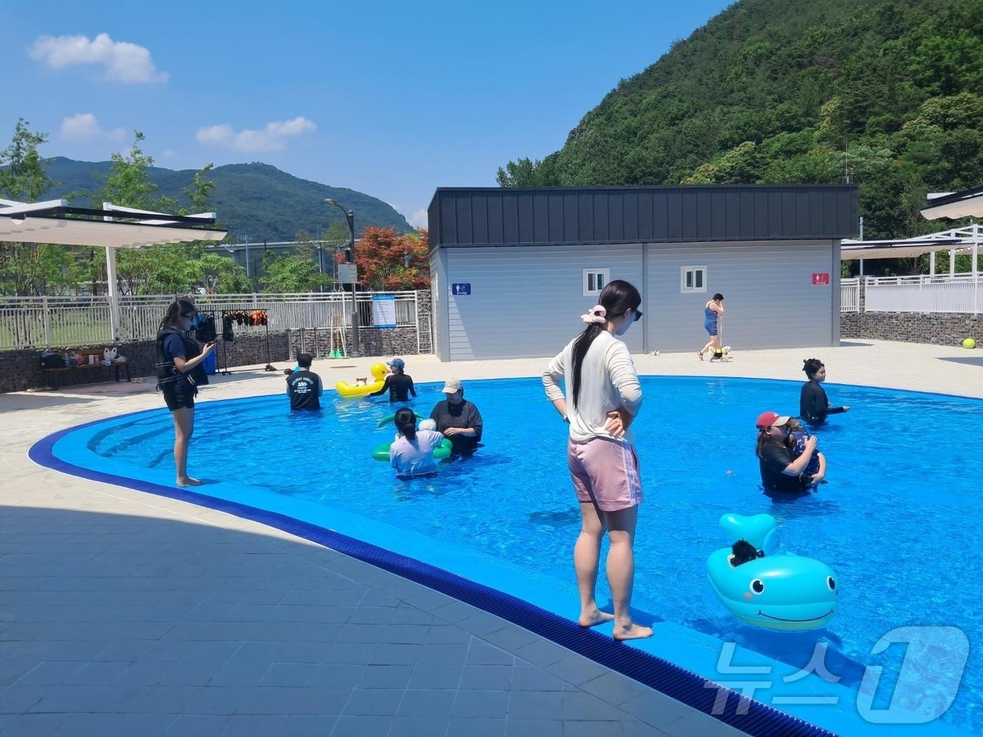 본문 이미지 - 밀양 반려동물지원센터가 운영하는 션샤인 테마파크 내 반려견 동반 수영장 모습.(밀양시 제공)