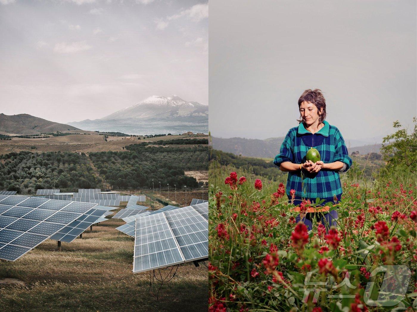 본문 이미지 - 올해의 '지구 사진'에 선정된 장 마크 카이미 작가의 '트로피칼리아'. 시칠리아섬의 '기후 적응' 모습을 담았다. ⓒ 뉴스1