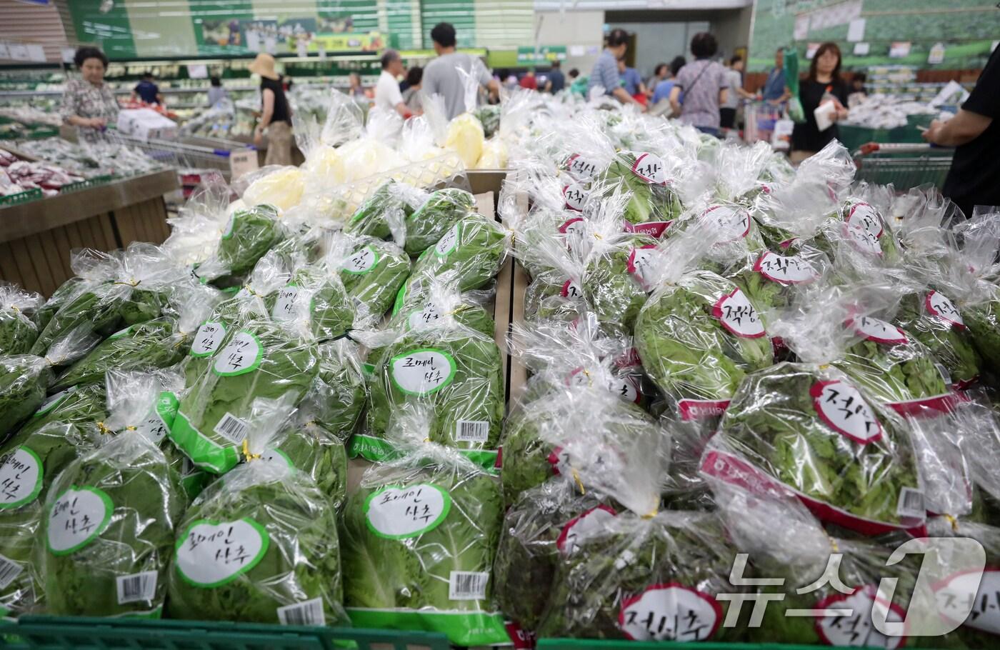 올해 여름철 충북지역에 폭염과 장마가 오락가락하는 날씨를 보이면서 주로 채소값이 급등하고 있다.(사진은 기사와 무관함)/뉴스1