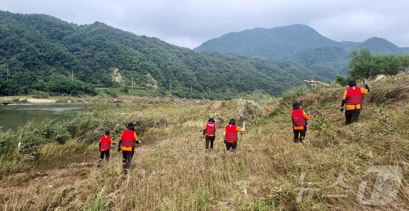 본문 이미지 - 충북 영동 70대 실종 수색 작업.(충북소방본부 제공)/뉴스1