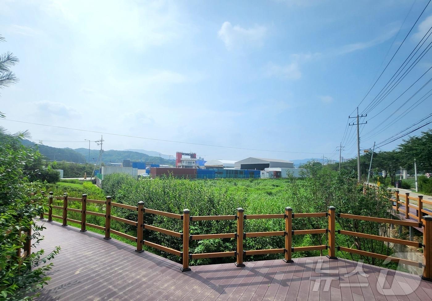 본문 이미지 - 용인시가 조성한 '유방동 도시숲' 내 물억새 군락지와 데크로드 모습.(용인시 제공)