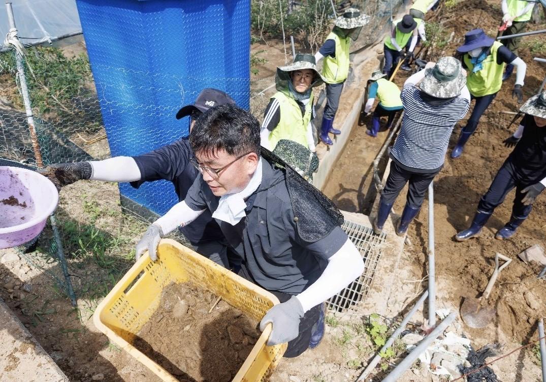 본문 이미지 - 충북지역 농협 임직원들이 영둥군에서 수해복구 작업을 하고 있다.(충북농협제공) / 뉴스1 
