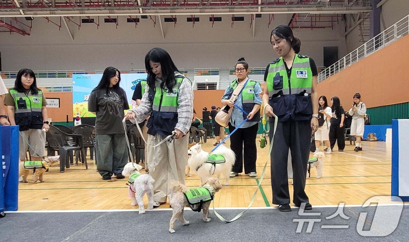 본문 이미지 - 작년 7월 15일 오후 제주시 복합체육관에서 열린 댕댕이 안전지킴이 발대식에서 반려견과 반려인들이 모의 순찰을 하고 있다. 2024.7.15/뉴스1 ⓒ News1 고동명 기자