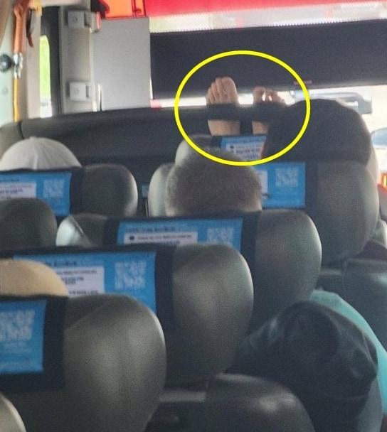 본문 이미지 - (온라인 커뮤니티 갈무리)