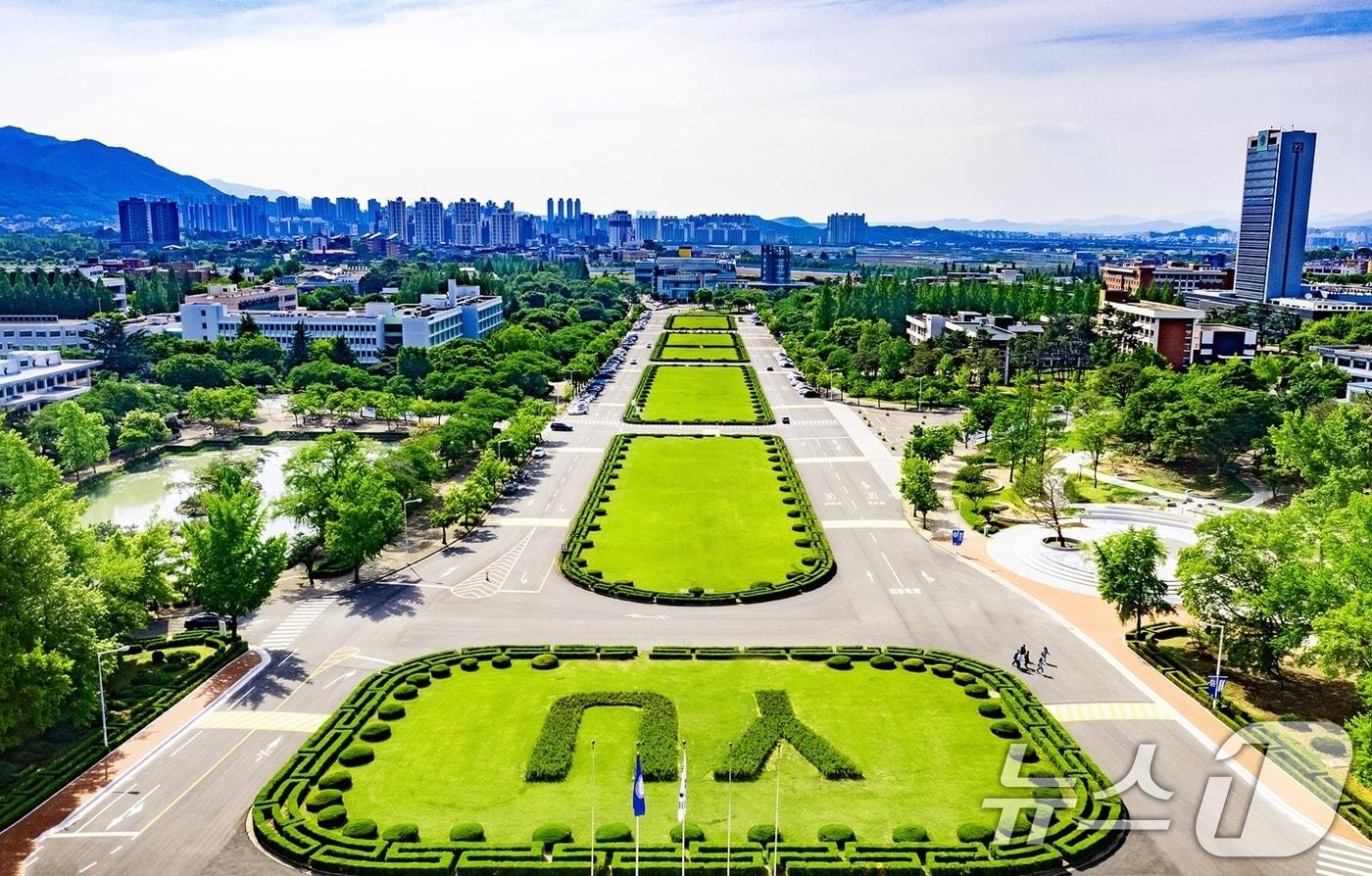 본문 이미지 - 경북도는 24일 라이즈(RISE) 수행 27개 대학의 2026학년도 신입생 평균 충원율이 97.8%로 전년 대비 2.0%포인트 상승했다.사진은 영남대학교 전경 /뉴스1