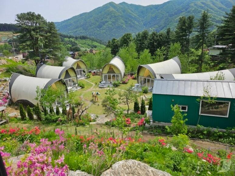 본문 이미지 -  가평 엘리의 정원(가평군 제공)/뉴스1