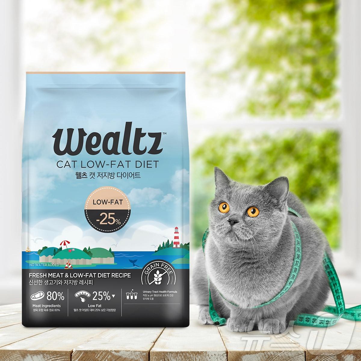 본문 이미지 - 우리와의 프리미엄 펫푸드 브랜드 '웰츠(wealtz)'가 선보인 캣 저지방 다이어트는 고품질의 단백질과 적은 탄수화물을 기반으로 건강한 체중 관리가 가능한 제품이다.