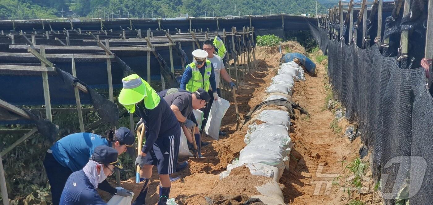  금산경찰서 소속 경찰관들이 인삼밭 둑을 복구하고 있다.(금산경찰서 제공)/ 뉴스1