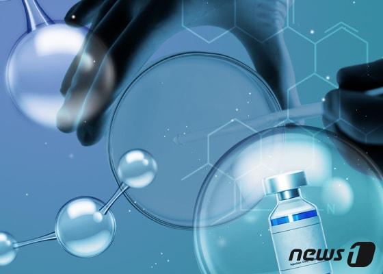 본문 이미지 - ⓒ News1 DB