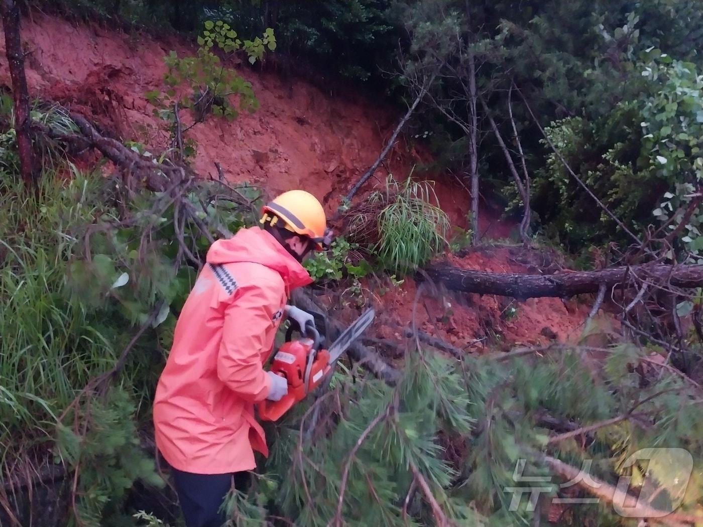 본문 이미지 - 16일 오전 5시15분쯤 집중호우로 전남 고흥군의 한 도로에 나무가 쓰러지고 토사가 유출되면서 출동한 소방대원이 현장 조치를 취하고 있다.(전남소방본부 제공) 2024.7.16/뉴스1 