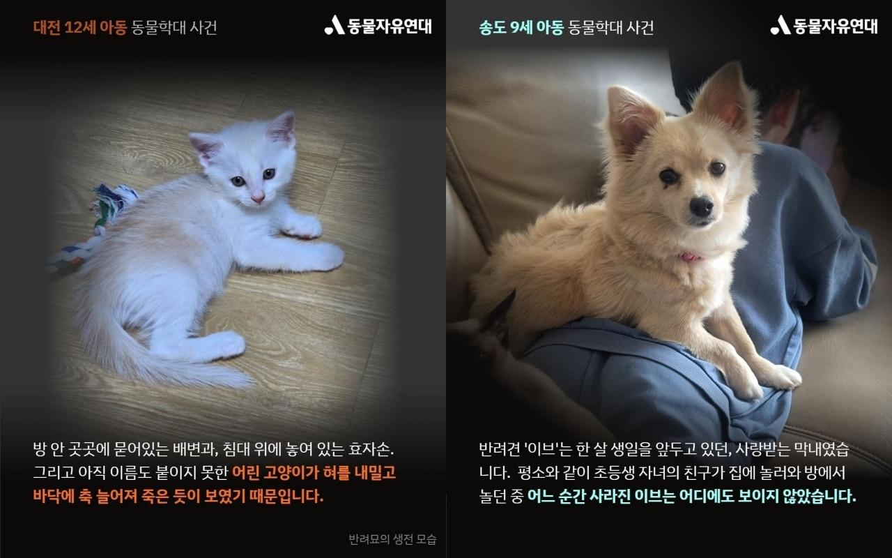 본문 이미지 - (동물자유연대)