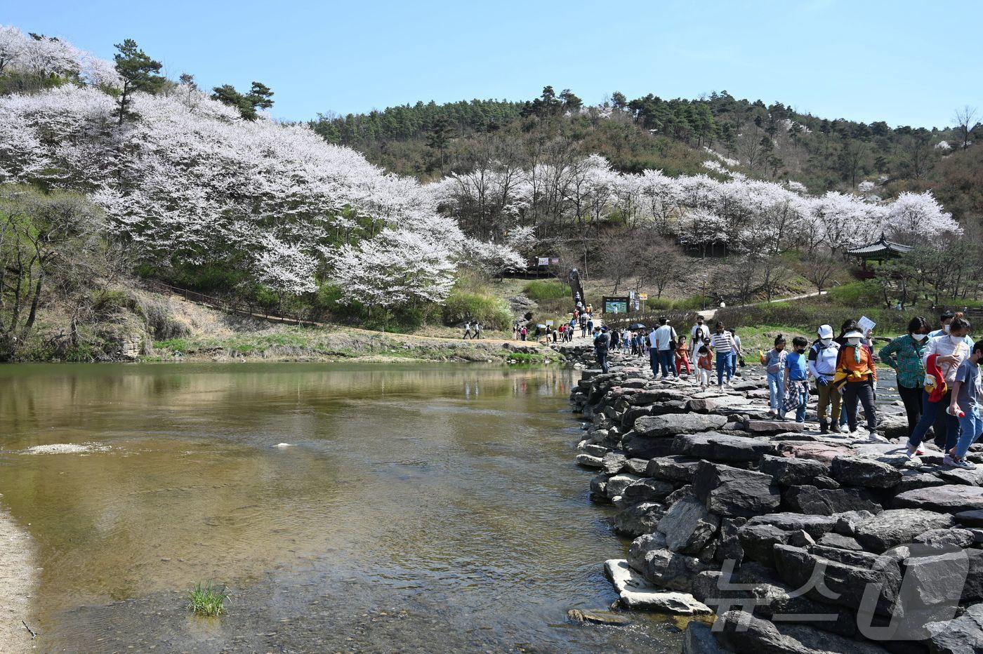 진천 농다리.(진천군 제공)/뉴스1