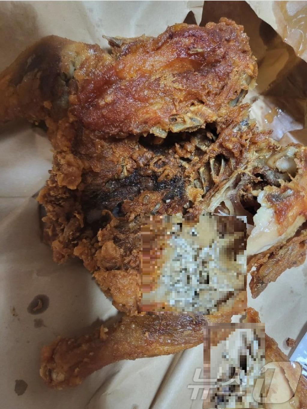 본문 이미지 - 지난달 23일 오후 인터넷 커뮤니티 보배드림에 친구가 산 통닭에서 구더기가 나왔다는 내용의 글이 게시됐다.(보배드림 갈무리)